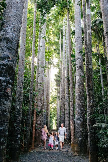 image n.7 of From Cairns: Atherton Tablelands and Paronella Park Day Trip activity in Gadgarra, uploaded by supplier