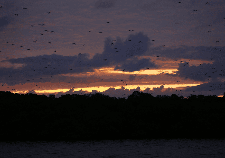 image n.12 of Komodo: 4-Day Private Tour with Overnight Boat and Hotel activity in East Nusa Tenggara, uploaded by supplier