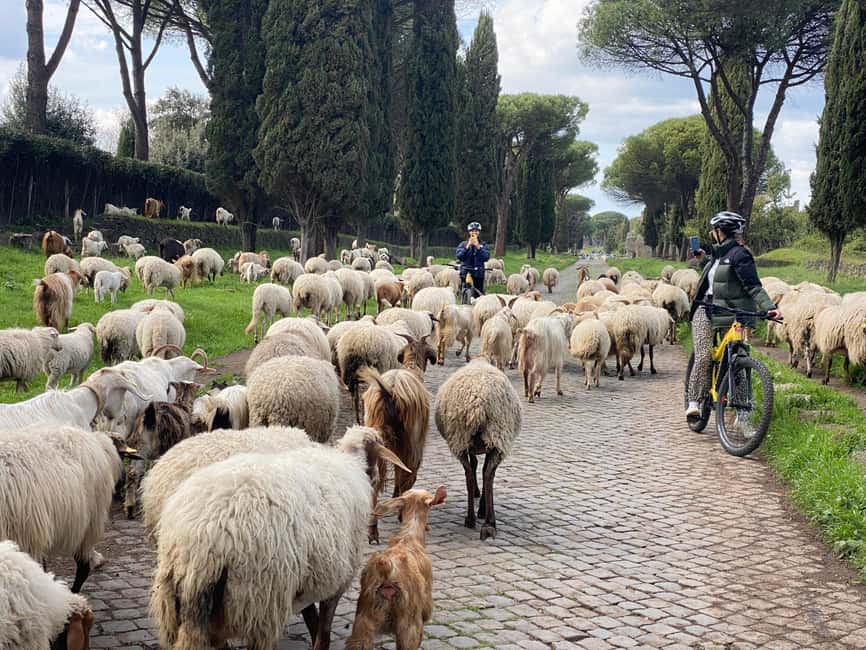 Immagine nº 8 di Il miglior tour avventuroso in MTB elettrica sulla Via Appia e gli acquedotti (26 km) attività a Roma, caricata dal fornitore
