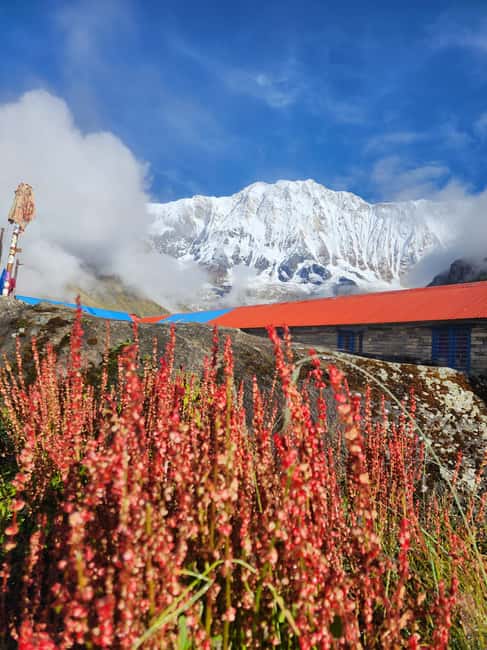 image n.5 of Pokhara: 9-Day Annapurna Base Camp Trek with Poon Hill activity in Ghandruk, uploaded by supplier