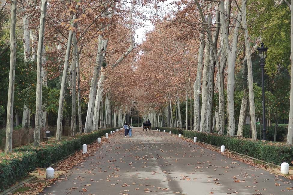 imagem n.8 de Segredos do Parque Maria Luisa e da Praça de Espanha atividade em Sevilha, carregada pelo fornecedor