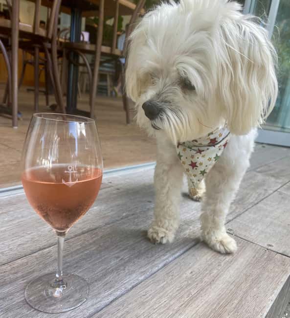 image n.23 of From Auckland: Waiheke Island Wineries' Tour activity in Auckland, uploaded by supplier