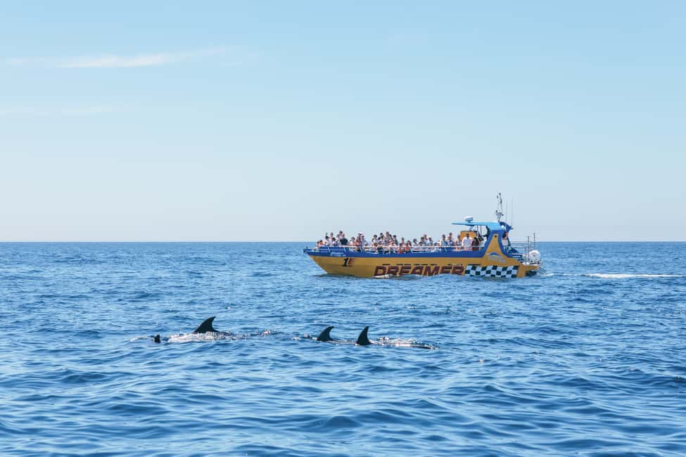 image n.2 of Albufeira: 2.5-Hour Benagil Caves & Dolphin Watching activity in Benagil, uploaded by supplier