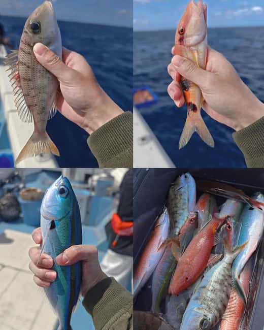 image n.9 of Okinawa: 1/2-Day Private Sea Fishing Charter, Naha w/Pickup activity in Naha, uploaded by supplier