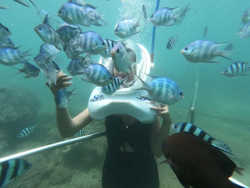 image n.17 of Cham Island: Underwater Walking & Snorkeling Tour activity in Hoi An, uploaded by supplier