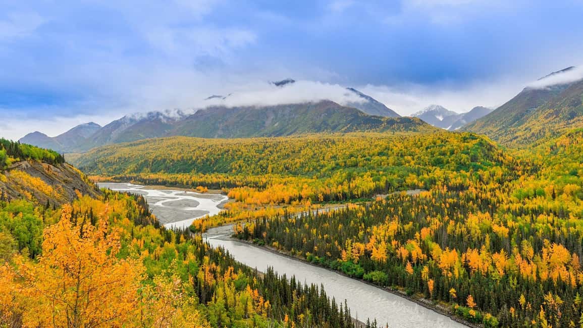 image n.4 of Denali in a Day – Full-Day Sightseeing Tour activity in Healy, uploaded by supplier