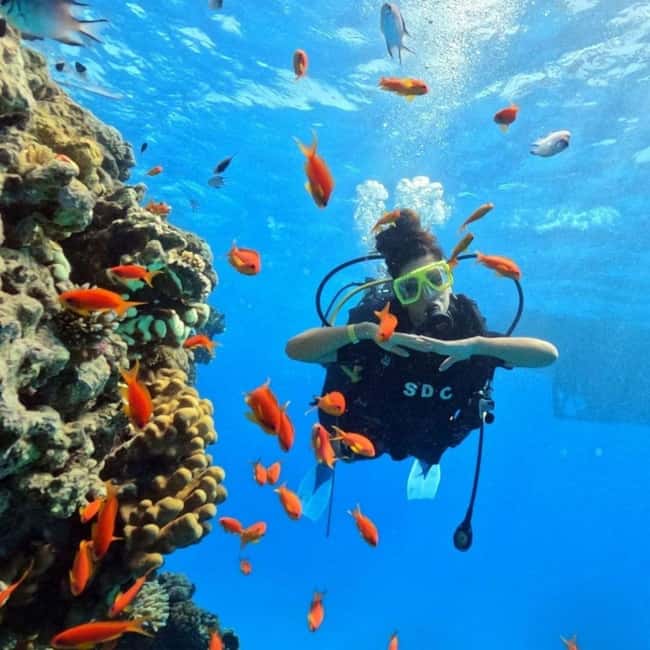 image n.1 of Fethiye: Fly and Dive, Paragliding and Scuba Diving Together, Transfer Included activity in Aegean Coast Region, Turkey, uploaded by supplier