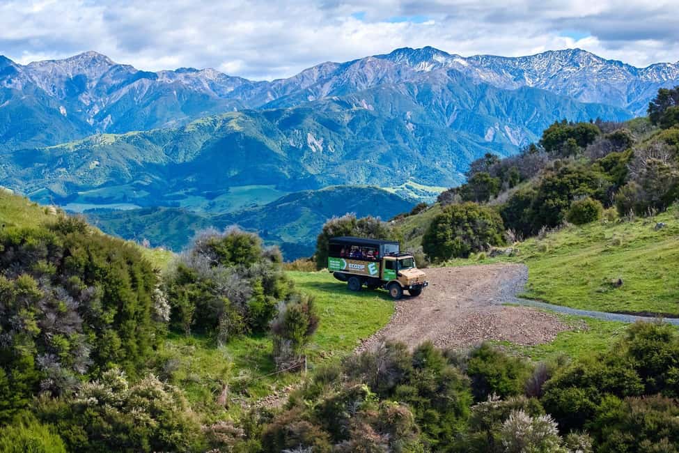 image n.2 of Kaikōura: Zipline and Native Forest Adventure Trip activity in Kaikoura, uploaded by supplier