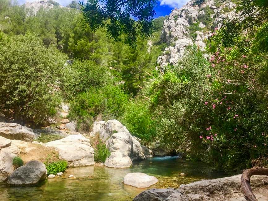 imagen n.º 5 de Desde Albir o Benidorm: Excursión de un día a las Cascadas del Algar actividad en Benidorm, subida por el proveedor