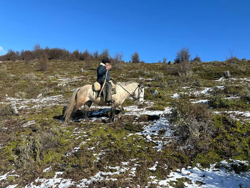 image n.4 of Puerto Natales: Horseback Riding to Dorotea Fjord Lookout activity in Puerto Natales, uploaded by supplier