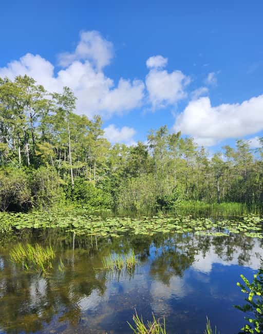 bild nr.6 av Miami: Everglades Airboat Eco Tour med lyxig transport aktivitet i Florida, uppladdad av arrangören