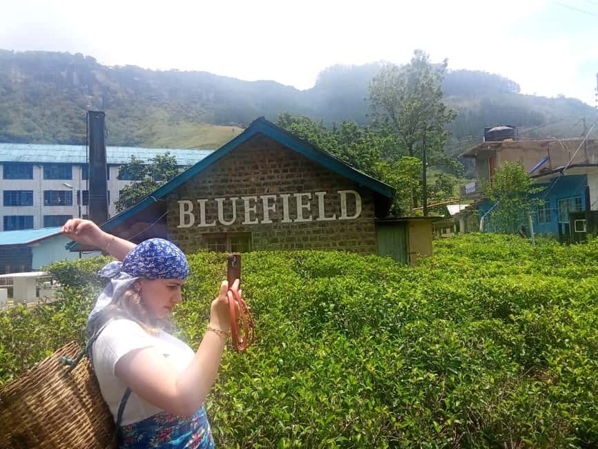 image n.6 of Nuwara Eliya Full day: 5Waterfalls, 2Tea Test & pick by TUK activity in Nuwara Eliya, uploaded by supplier