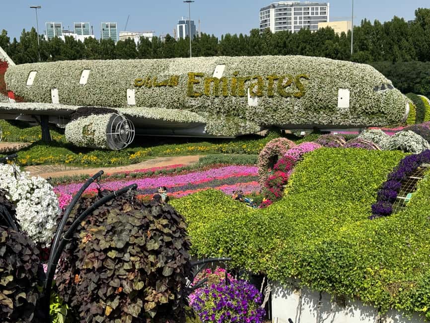 image n.16 of Dubai: Miracle Garden Ticket With Transfer activity in Dubai, uploaded by supplier