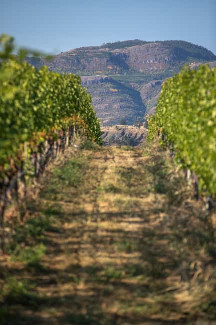 image n.3 of Kelowna: Lake Country Half Day Guided Wine Tour activity in British Columbia, uploaded by supplier