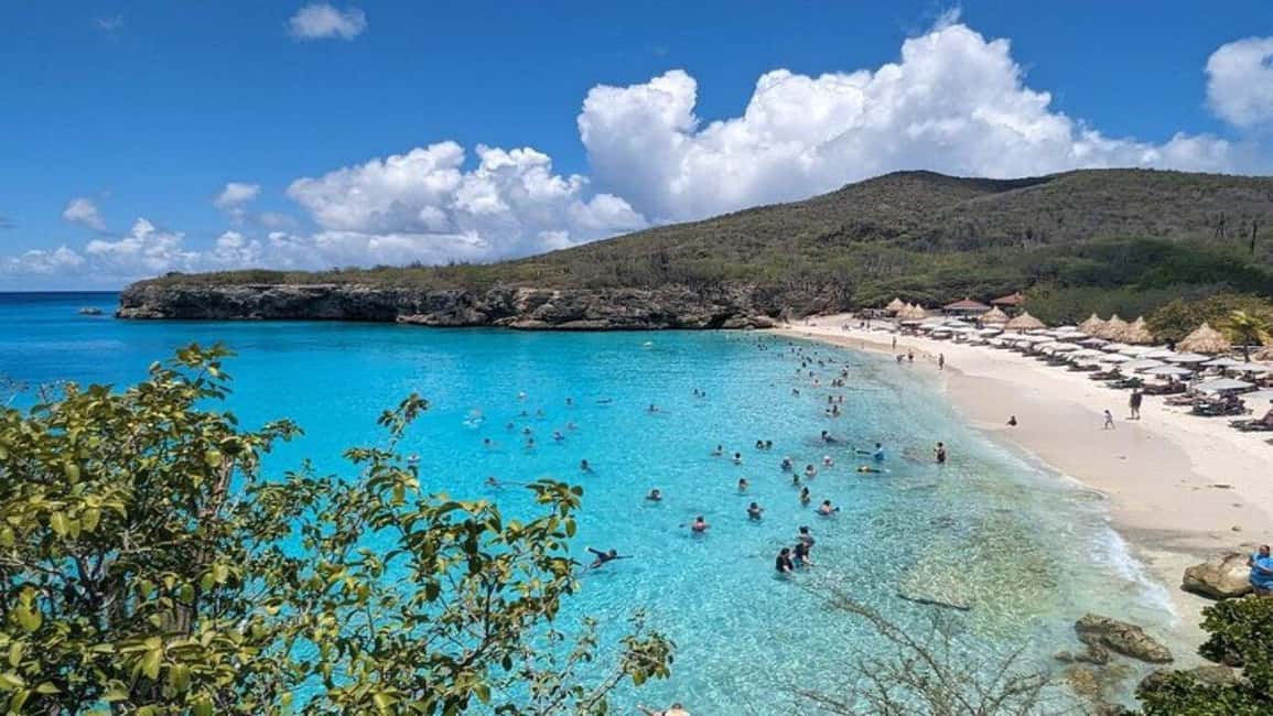 afbeelding n.6 van Willemstad: zwemmen met schildpadden en strandhoppen activiteit in Curaçao, geüpload door aanbieder