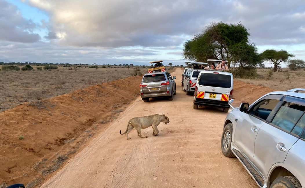 image n.21 of Tsavo East and Tsavo West Sanctuary Safari activity in Coast Province, uploaded by supplier