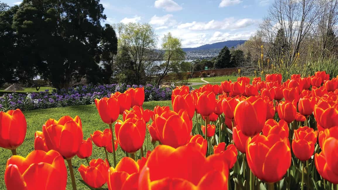 image n.2 of Hobart: 3-Hour City Sightseeing Tour activity in Hobart, uploaded by supplier