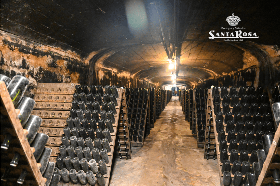 Immagine nº 1 di Cantina Santa Rosa: Tour di degustazione della Famiglia Passadore con pranzo attività a Dipartimento di Montevideo, caricata dal fornitore