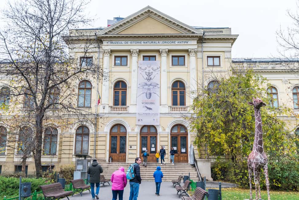 image n.8 of Museums and Galleries walking tour in Bucharest activity in Bucharest, uploaded by supplier