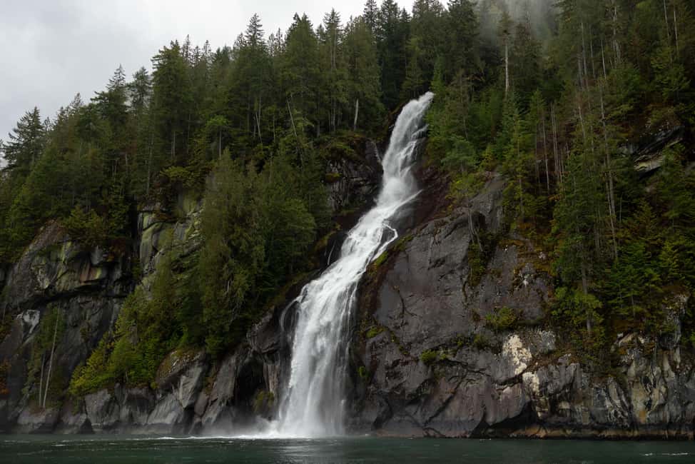 image n.11 of Vancouver Island: Full-Day Grizzly Bear Tour at Toba Inlet activity in British Columbia, uploaded by supplier