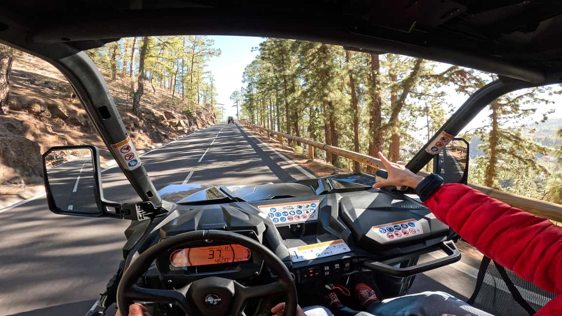 billede nr.4 af aktiviteten Tenerife: Guidet buggytur i Teide Nationalpark i Arona, Tenerife, uploadet af udbyder