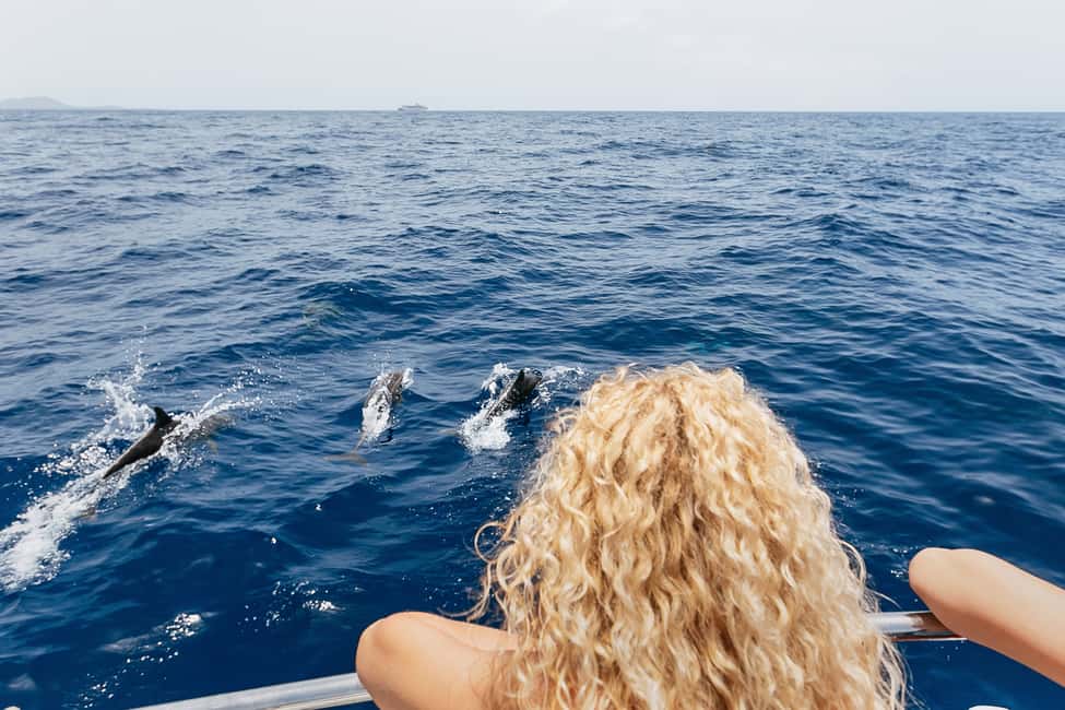 billede nr.10 af aktiviteten Costa Adeje: Hvalsafari med katamaran og drikkevarer i Costa Adeje, uploadet af udbyder
