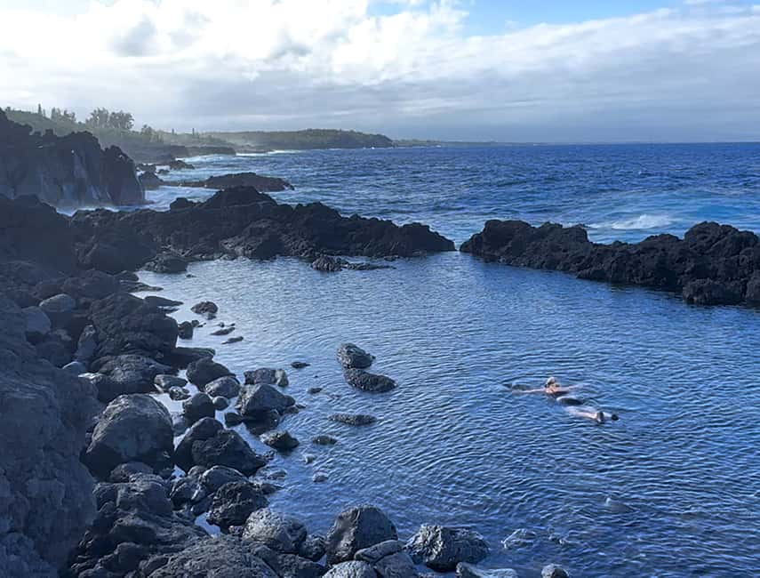 Immagine nº 18 di Escursione alle pozze di marea segrete - Giungla e costa - Privato attività a Pahoa, caricata dal fornitore
