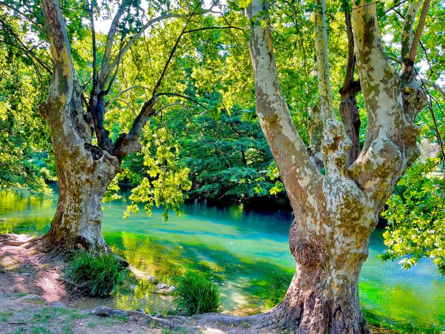 imagem n.4 de De Avignon: Excursão de 1 dia à Provença atividade em Nimes, carregada pelo fornecedor