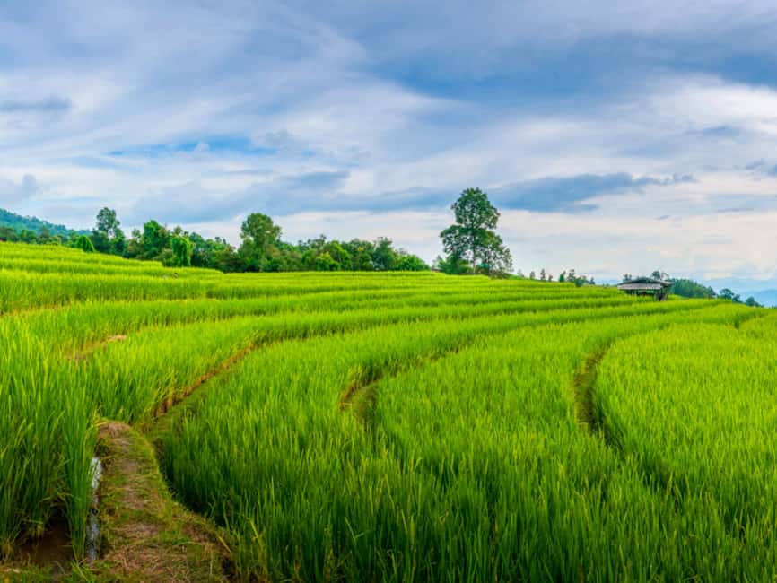 image n.16 of Chiang Mai: Doi Inthanon Park and Pha Dok Siew Trail Trek activity in Chiang Mai, uploaded by supplier