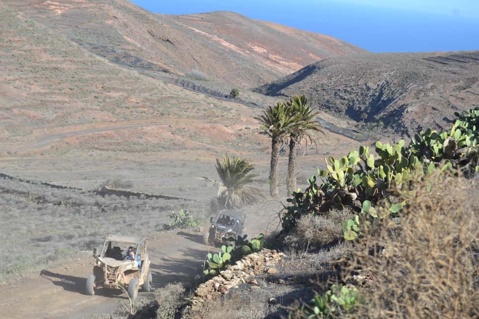 image n.11 of Lanzarote: Mix tour Guided Buggy Volcano Tour 4 seater activity in El Toyo, uploaded by supplier