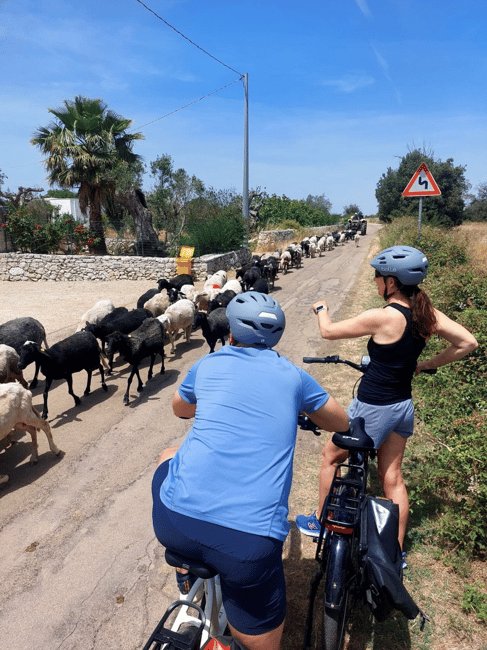 Immagine nº 4 di Lecce: tour in e-bike a Galatina con frantoio e degustazione di vino attività a Corigliano D'otranto, caricata dal fornitore