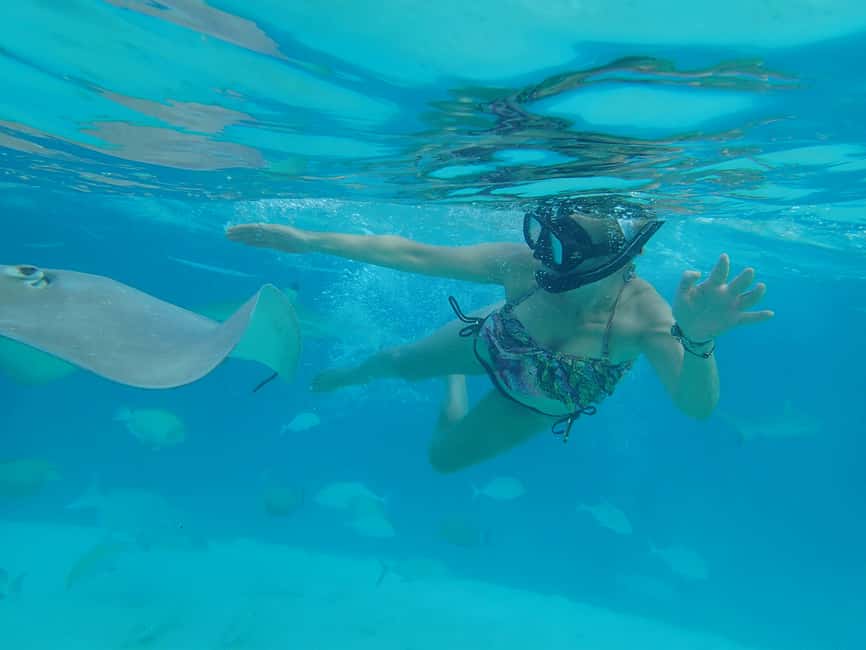 image n.4 of Moorea: 6 H Private Boat Tour with Snorkeling and Lunch activity in Tiahura, uploaded by supplier