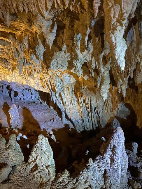 image n.4 of Auckland: Waitomo Glowworm Caves Explorer Small Group Tour activity in Waitomo, uploaded by supplier