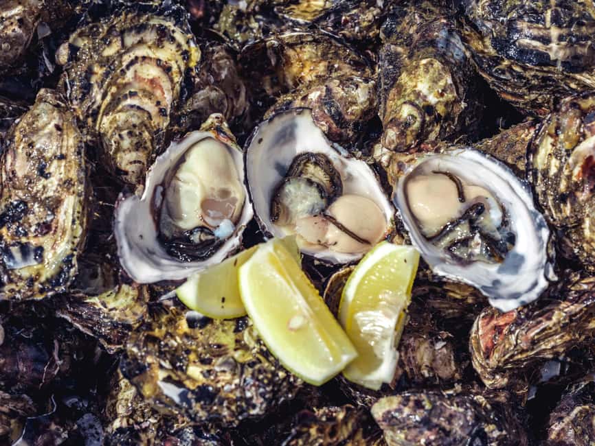 image n.4 of Hobart: Full-Day Tasmania Gourmet Seafood Cruise activity in Tasmania, uploaded by supplier