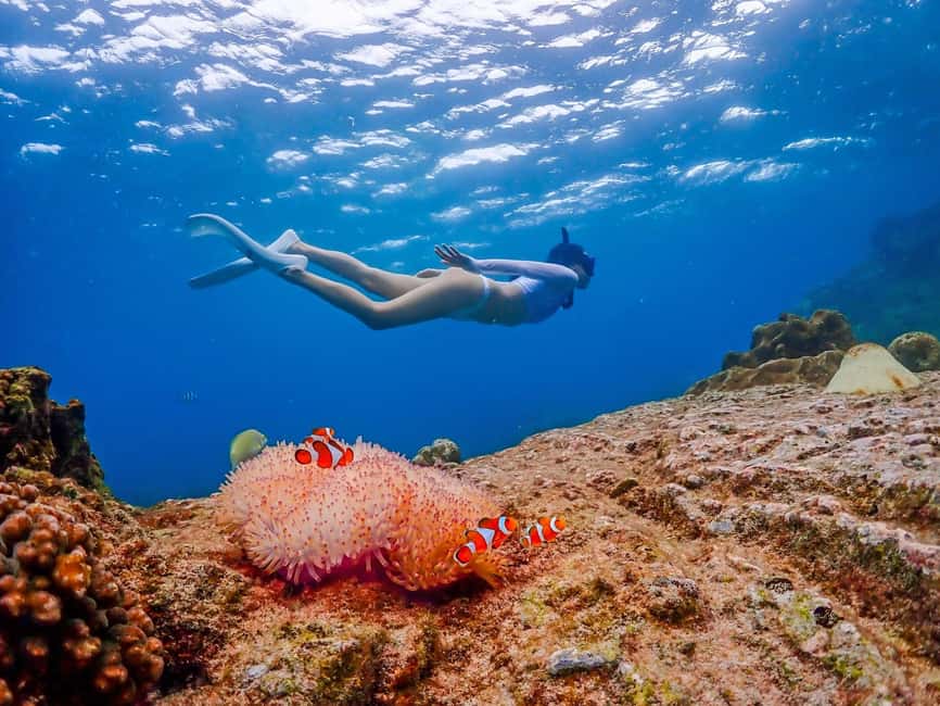 imagen n.º 1 de Bangkok: Excursión de un día a la Isla de Nemo con fotos de drones y almuerzo actividad en Pattaya, subida por el proveedor
