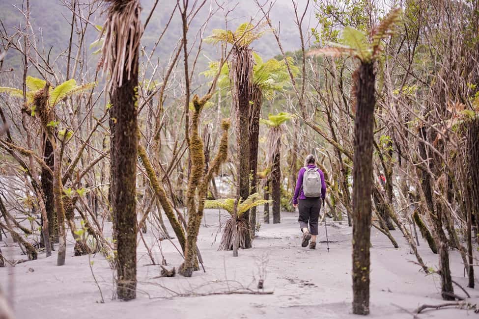 image n.16 of Franz Josef: Franz Josef Glacier Lookout Guided Walk activity in Franz Josef Town, uploaded by supplier