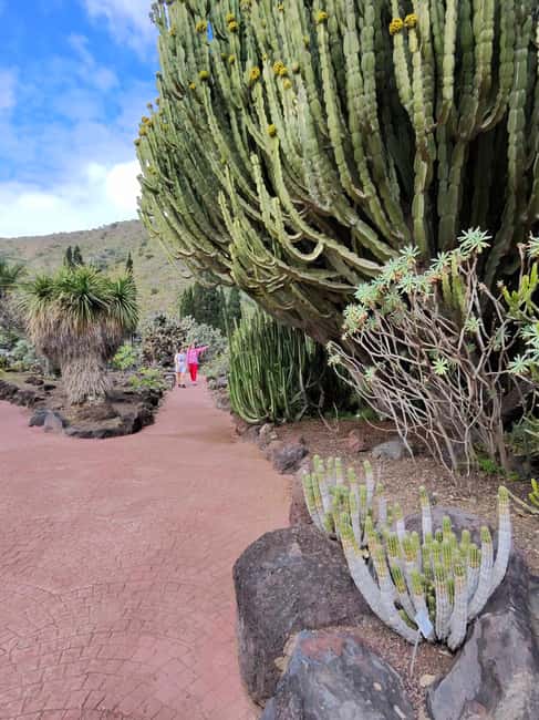 image n.33 of Private Bandama Caldera, Botanic Garden(/Wine*), Old Town activity in Las Palmas, uploaded by supplier