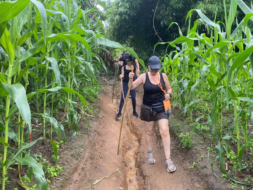 image n.27 of Chiang Rai Trek: 4 Hilltribes Villages & Waterfall Only Walk activity in Chiang Rai, uploaded by supplier