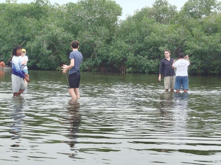image n.88 of Cartagena: Private Sail in the mangrove GUIDE in ENGLISH activity in Cartagena, uploaded by supplier