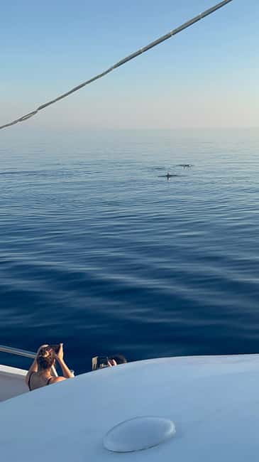 Bild Nr. 47 von Pula: Delfinbeobachtung & Sonnenuntergangskreuzfahrt mit Abendessen & Getränken Aktivität in Pula, Kroatien, hochgeladen vom Anbieter