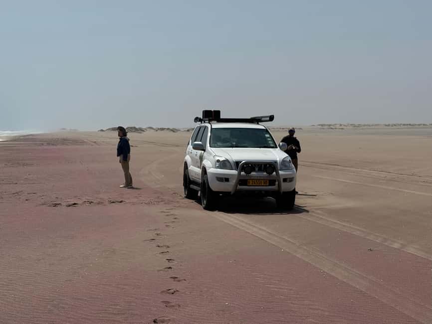 image n.24 of Walvisbay: Sandwich Harbour 4x4 Tour-Unparalleled Experience activity in Erongo, uploaded by supplier