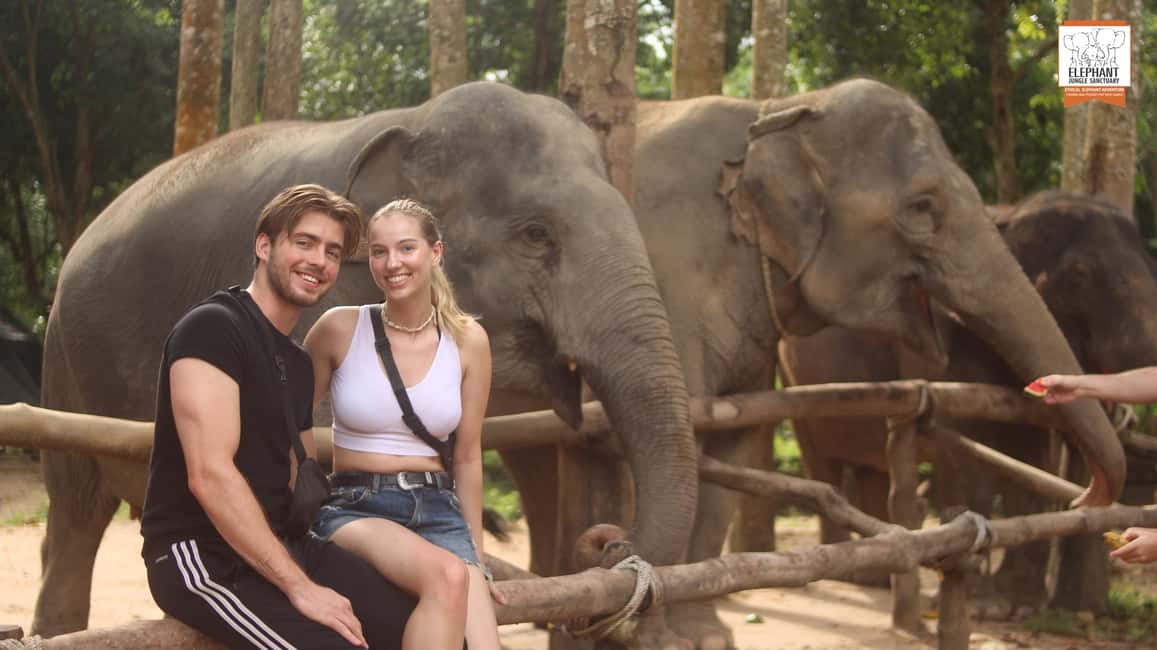 billede nr.4 af aktiviteten Koh Samui: Indgang til elefantreservat og fodringsoplevelse i Thailandbugten, uploadet af udbyder