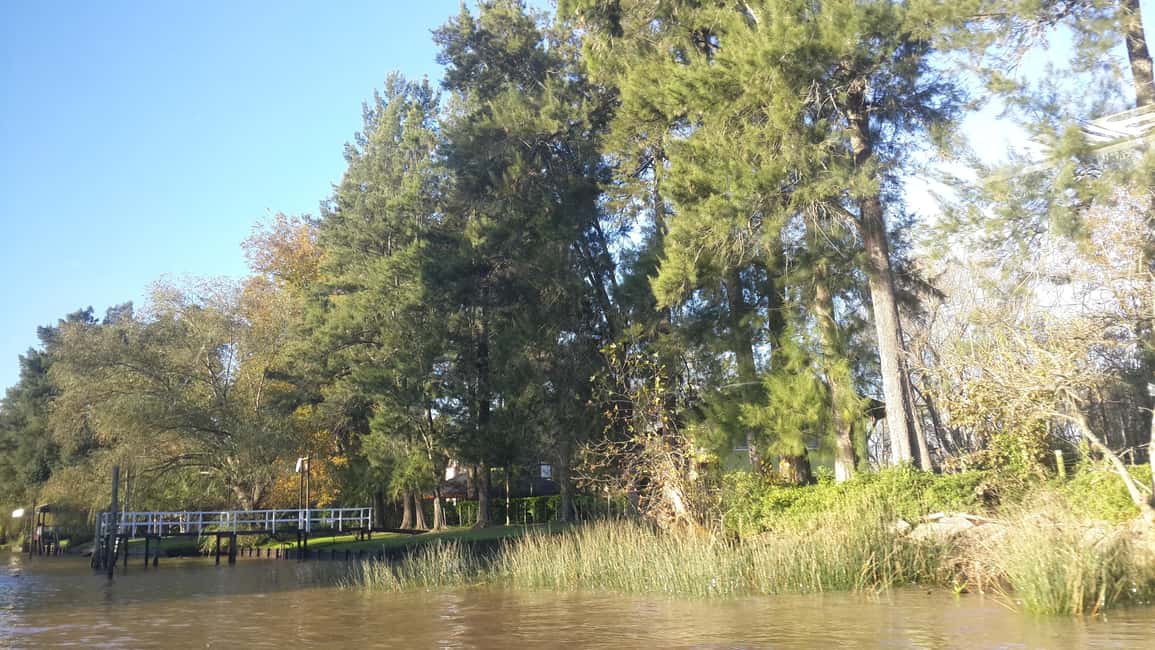 imagen n.º 8 de Buenos Aires: Ticket de entrada - Clásico tour en barco por el Delta del Tigre actividad en Tigre, Argentina, subida por el proveedor