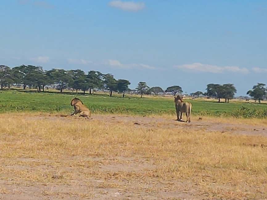 image n.20 of DAY TRIP AMBOSELI NATIONAL PARK FROM NAIROBI BUDGET SAFARI. activity in Central Kenya, uploaded by supplier