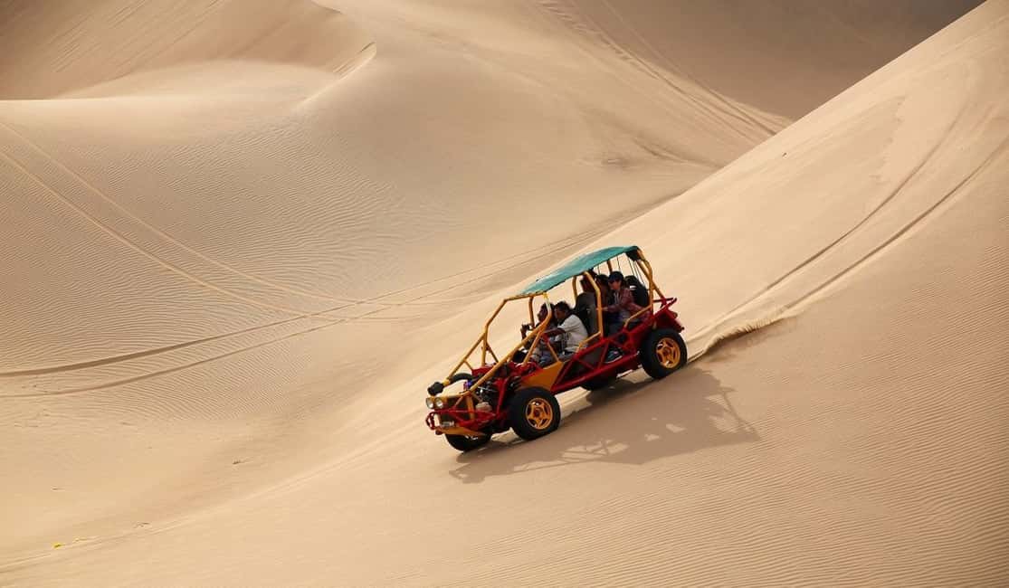 afbeelding n.7 van Vanuit Lima: Paracas en Huacachina Oase dagvullende tour met gids activiteit in Paracas, geüpload door aanbieder