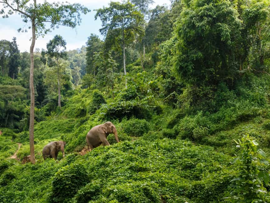 image n.4 of Chiang Mai: Doi Inthanon Park and Pha Dok Siew Trail Trek activity in Chiang Mai, uploaded by supplier