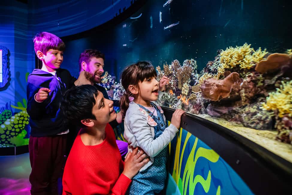 image n.8 of London: SEA LIFE Entry Ticket activity in London, uploaded by supplier
