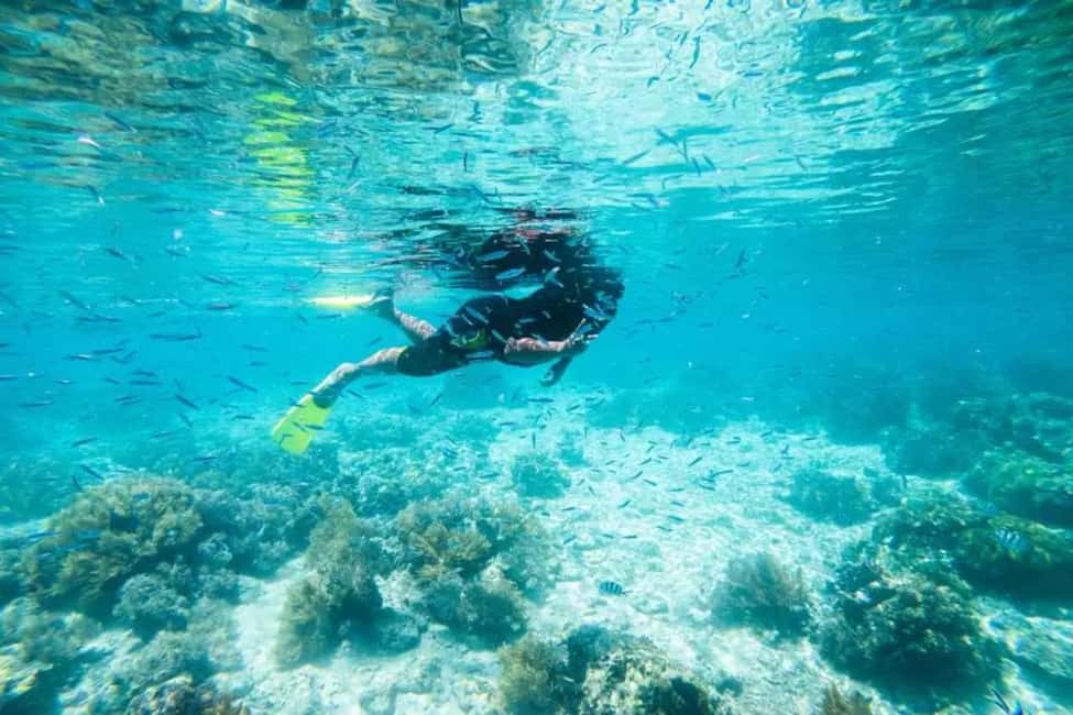 billede nr.5 af aktiviteten Sabah: Pulau Tiga snorkeldagstur med frokost i Kota Kinabalu, uploadet af udbyder