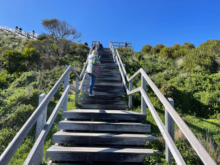 image n.19 of From Hobart: Bruny Island Adventure - Active Day Tour activity in Tasmania, uploaded by supplier