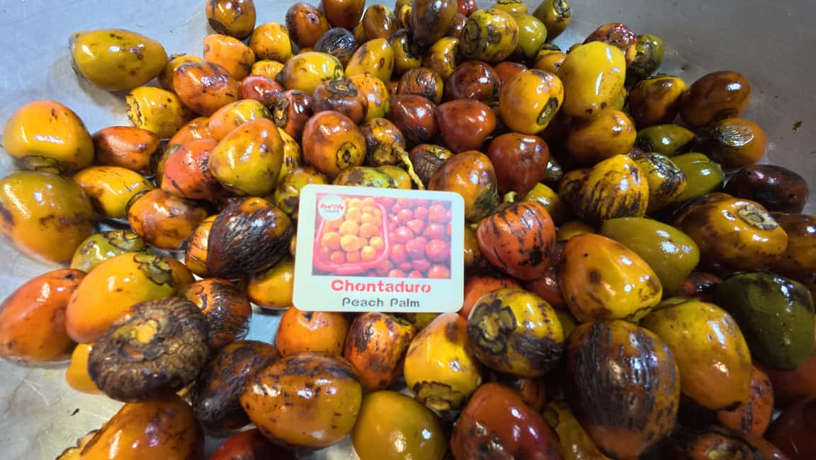 image n.18 of Medellín: Guided Exotic Fruits Tour activity in Medellin, uploaded by supplier